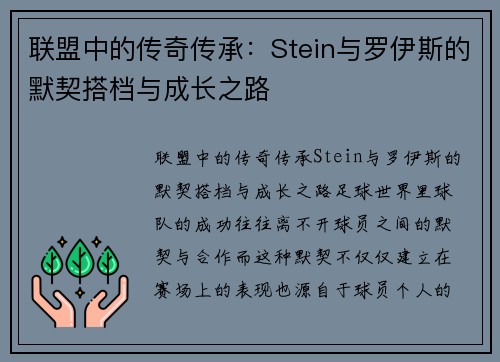联盟中的传奇传承：Stein与罗伊斯的默契搭档与成长之路